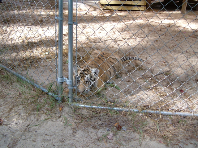 2007-10-14_0039