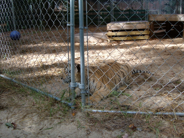 2007-10-14_0040