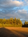 2007-10-14_0057