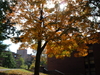2007-10-20_0001