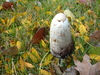 2007-10-28_0001
