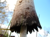 2007-10-28_0002