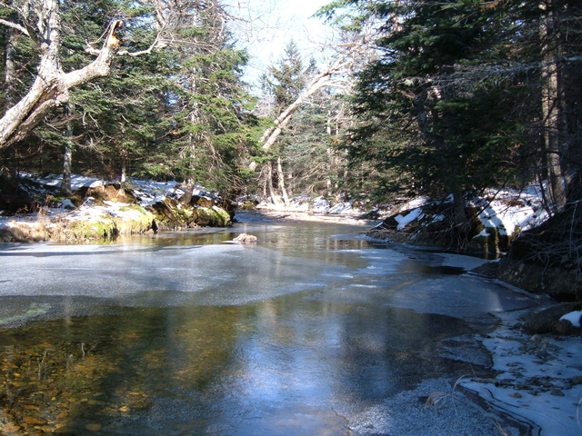 2007-11-24_0063
