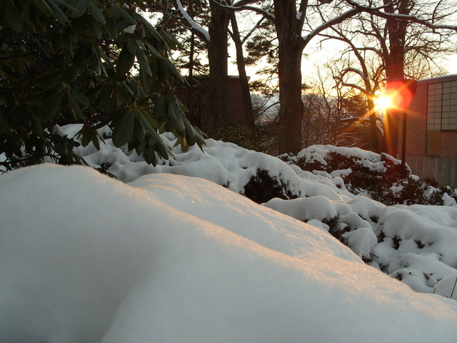 2008-02-23_0002