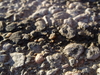 2008-02-24_0001