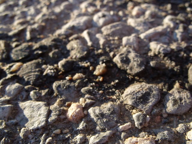 2008-02-24_0001