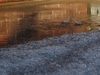 2008-02-24_0003