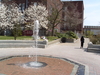 2008-04-20_0003