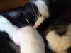 2008-05-07_0002