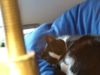 2008-05-10_0005