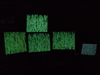 2008-05-16_0002