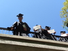 2008-05-17_0140