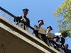 2008-05-17_0143