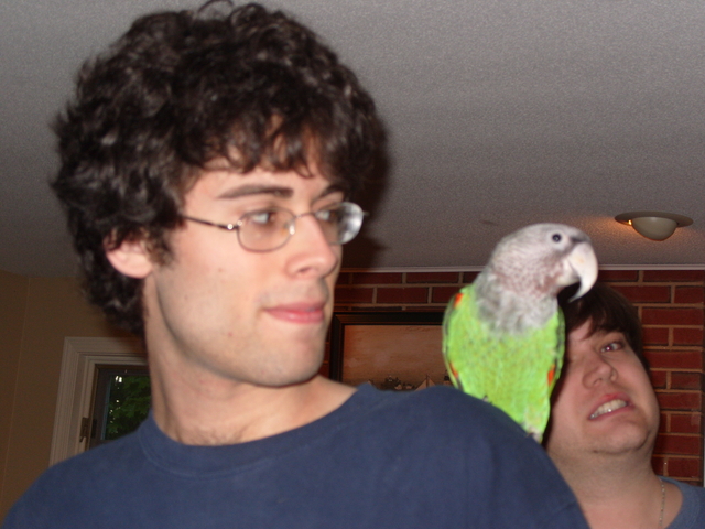 2008-05-25_0041