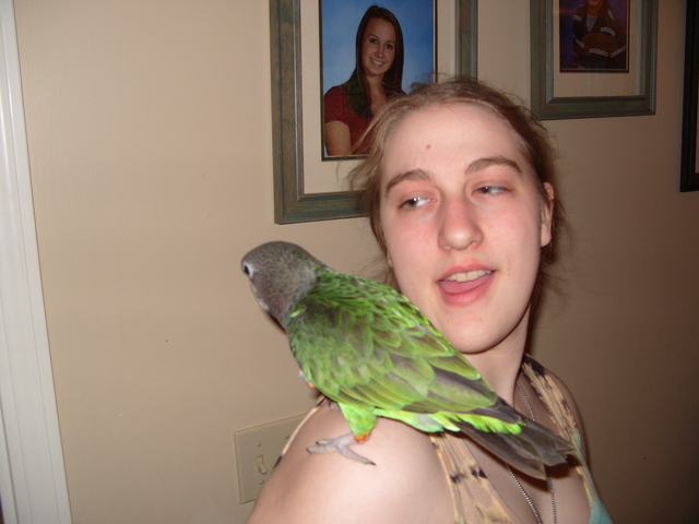 2008-05-25_0042