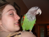 2008-05-25_0043