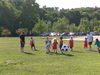 2008-06-12_0006