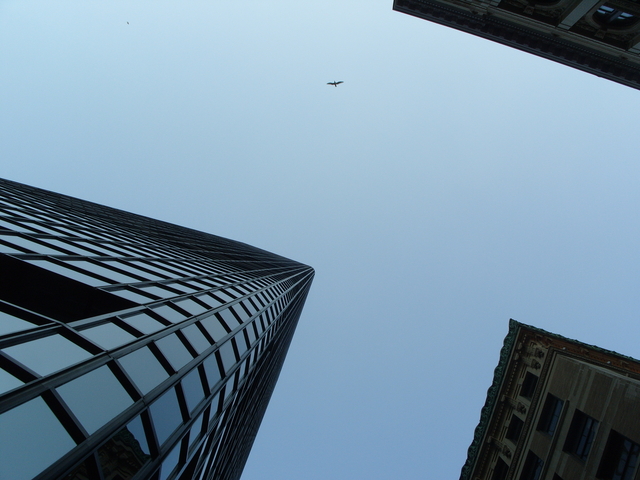 2008-07-26_0063