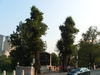 2008-07-26_0077