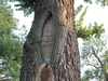 2008-07-26_0079