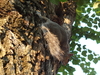 2008-07-26_0081