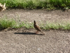 2008-08-03_0012