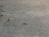 2008-08-03_0017