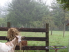 2008-09-27_0009