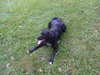 2008-09-27_0010
