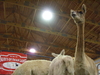 2008-09-27_0020