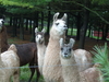 2008-09-27_0024