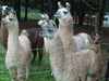 2008-09-27_0025