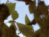 2008-10-18_0029