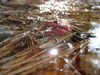 2008-10-18_0030