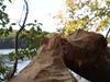 2008-10-18_0033