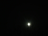 2008-11-13_0002