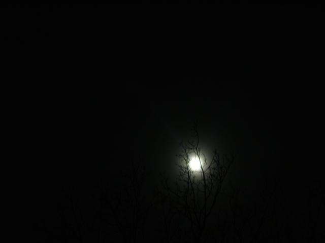 2008-11-13_0002