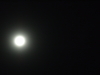 2008-11-13_0006