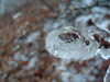 2008-12-12_0004