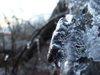2008-12-12_0005