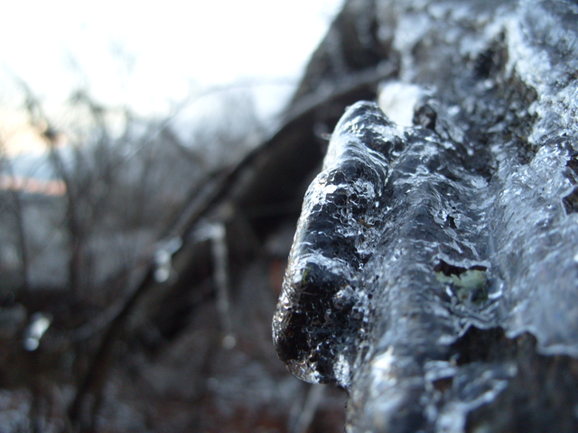 2008-12-12_0005
