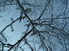 2008-12-12_0009