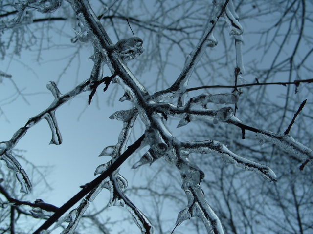 2008-12-12_0009