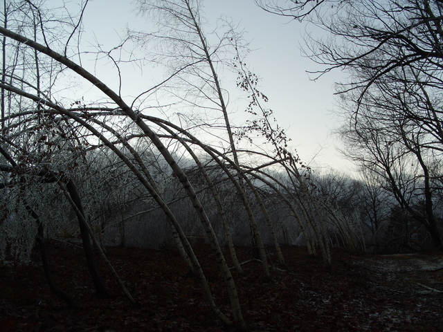 2008-12-12_0013