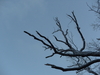 2008-12-12_0015