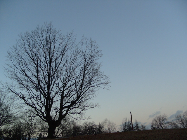 2008-12-12_0016