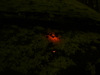 2008-12-21_0004