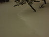 2008-12-21_0005
