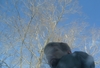 2009-01-25_0014