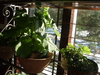 2009-03-01_0015
